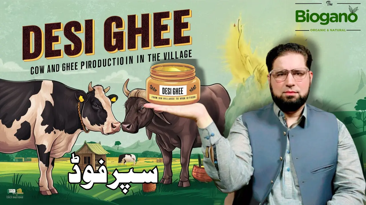 DESI GHEE Benefits for Health and Skin
